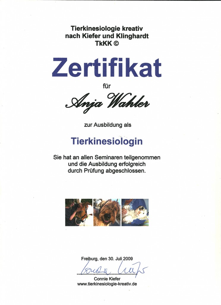 Zertifikat